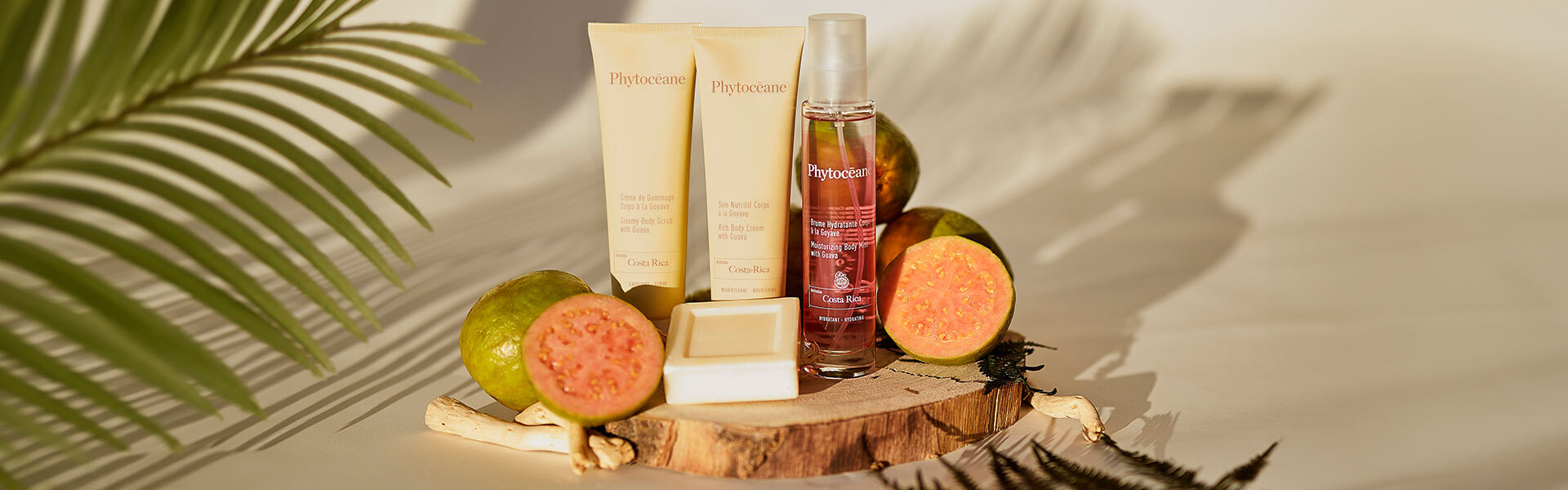 FIND A PHYTOCÉANE INGREDIENT