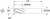 SGS 1/8" Dia, 4 Flute, Ball Nose End Mill - 30116 - Drawing 1