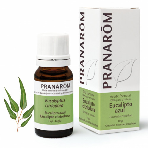 Pranarom aceite esencial eucalipto azul hoja 10 mL