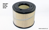 WA1081 Wesfil Air Filter; A1504 Holden