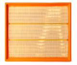 AF25306 Fleetguard Air Filter - Panel