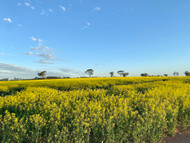 Dowerin Field Day 2021 Dowerin Field Day 2021