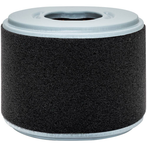 PA4552 Baldwin Oval Air Element with Foam Wrap