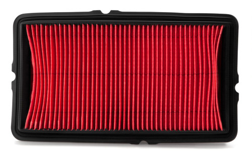 AF4954 Fleetguard Air Filter - Panel