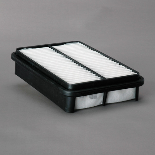 P606060 Donaldson P606060 Donaldson Air Filter, Panel