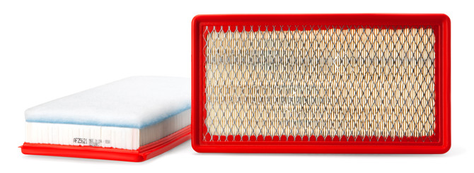 AF25621 Fleetguard Air Filter - Panel