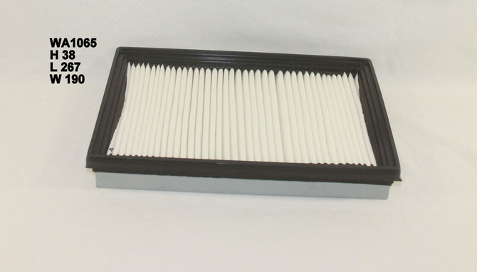 WA1065 Wesfil Air Filter; A1425 Kia