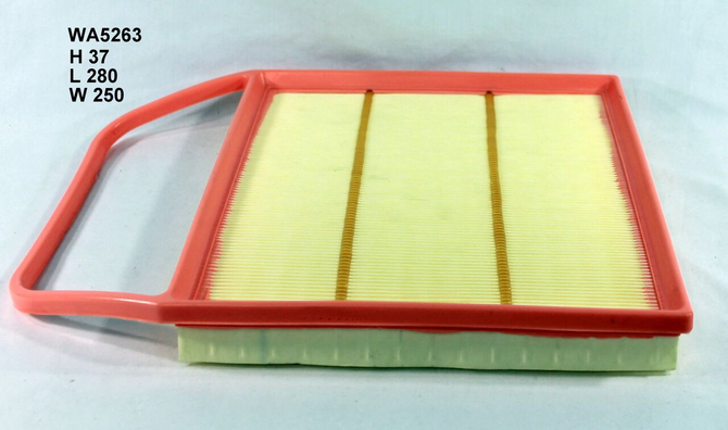 WA5263 Wesfil Air Filter; A1787 BMW