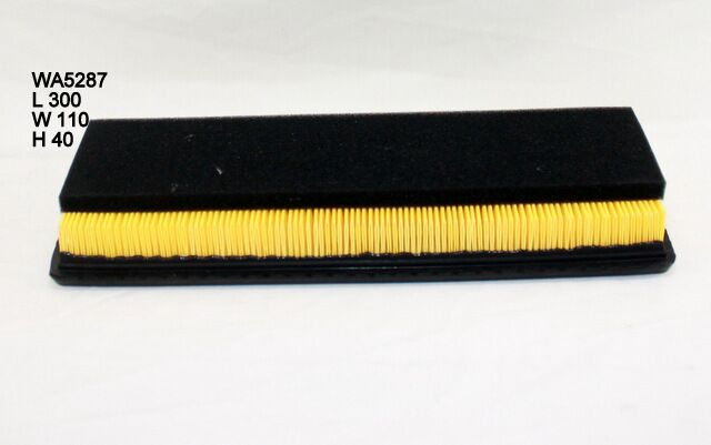 WA5287 Wesfil Air Filter; Fiat