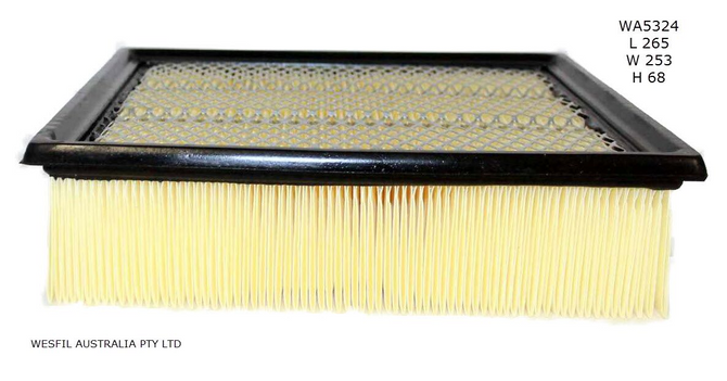 WA5324 Wesfil Air Filter; Ford
