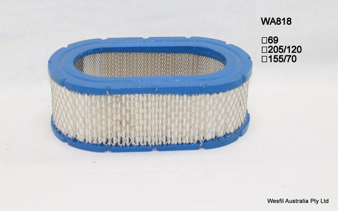 WA818 Wesfil Air Filter; A450 Nissan