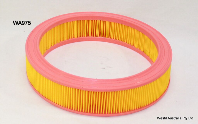 WA975 Wesfil Air Filter; A1537 VW