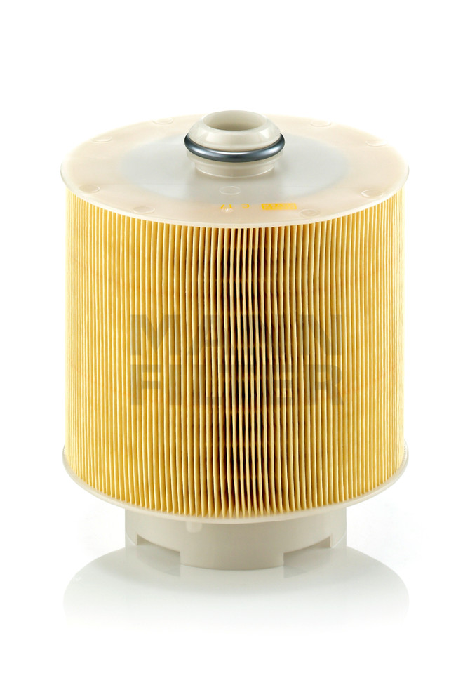 C17137/1X Mann Filter Air Filter