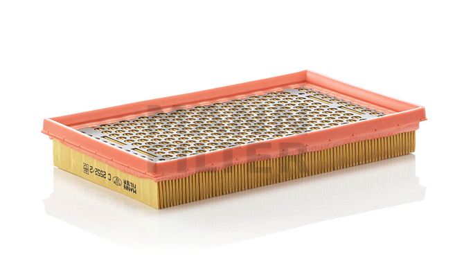 C2552/2 Mann Filter Air Filter