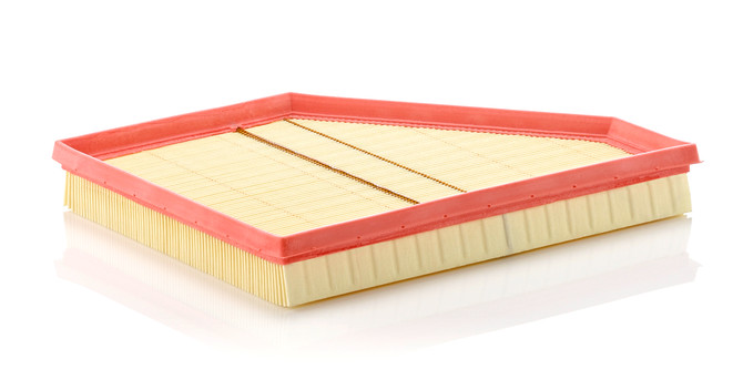 C3090/1 Mann Filter Air Filter