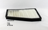 WACF0127 Wesfil Cabin Filter; RCA324P Holden