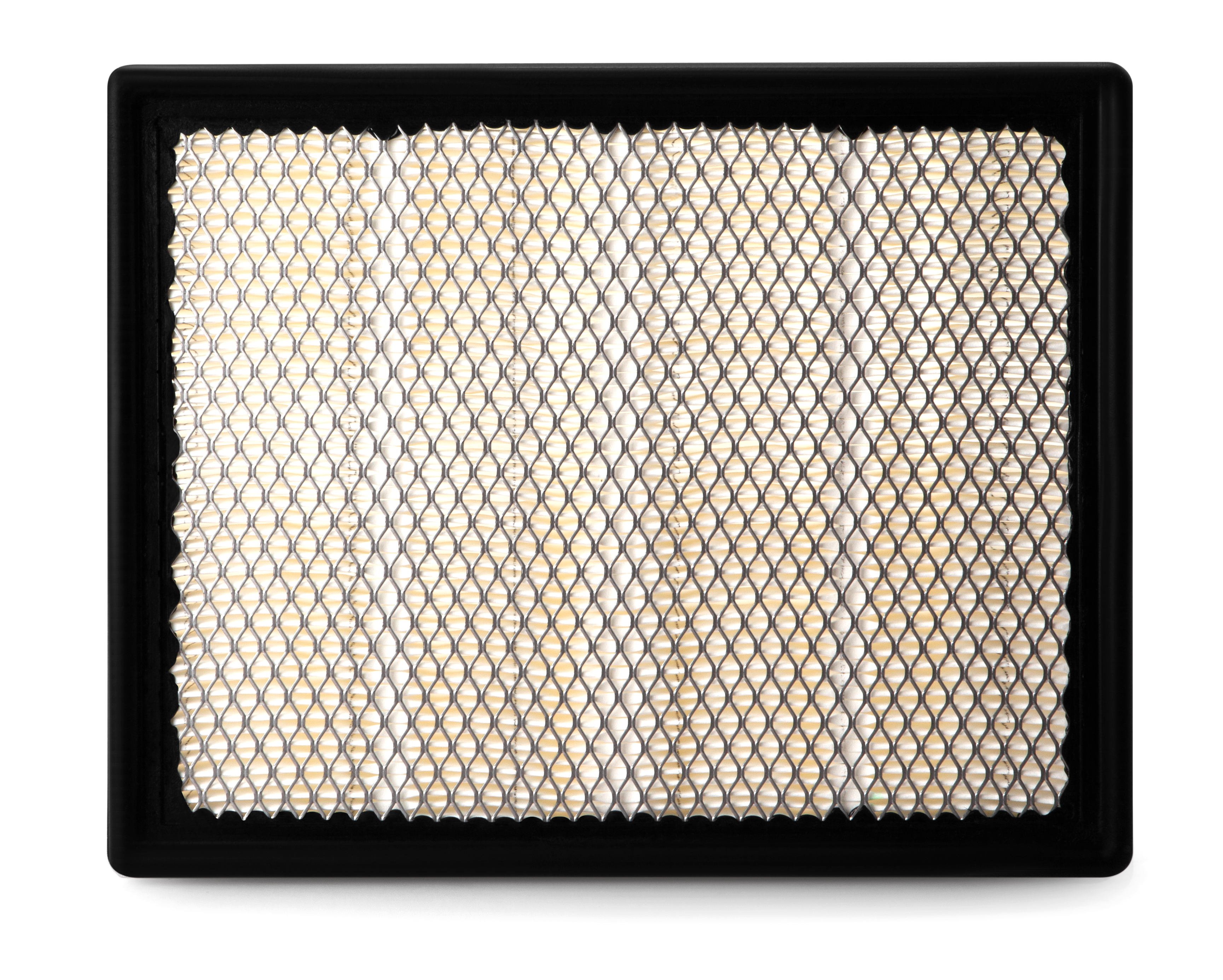 AF25636 Fleetguard Air Filter - Panel