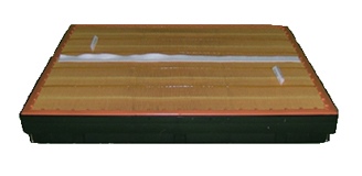 AF25731 Fleetguard Air Filter - Panel