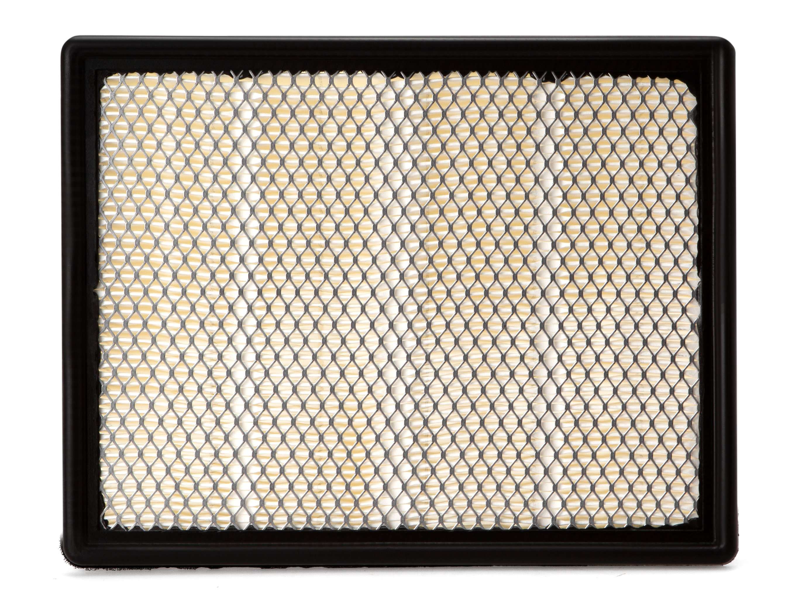 AF25848 Fleetguard Air Filter - Panel
