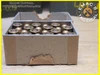 .450 S.A. Ball Revolver Ammo British WWII