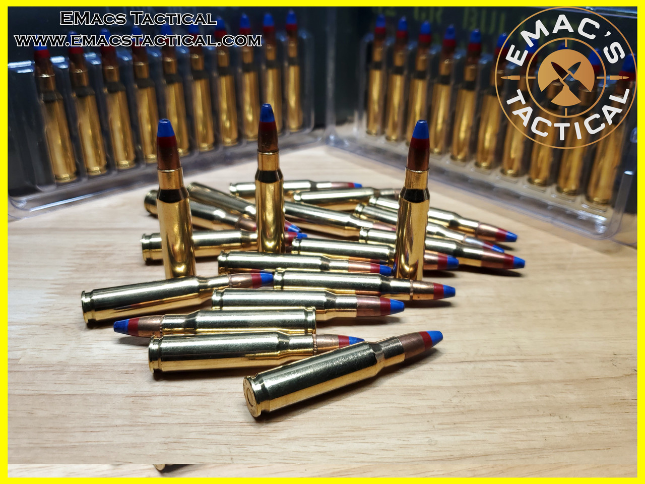 308/7.62x51 Tracer-Incendiary [10x] Count Exotic  Ammunition