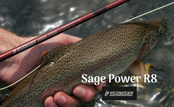 Sage Power R8 Blank w/Extra Tip Section
