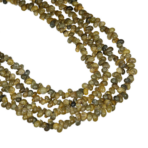 Mongo Shell Beads 6x4mm-Green