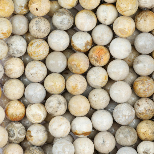 10 mm Fossil Coral Smooth Round Beads