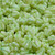 33 Pcs 4x6mm Bell Flower Pressed Czech Glass Beads - Mint Green