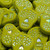 6 Pcs 20x16mm Sugar Skull Pressed Czech Glass Beads -Pea Green