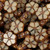 13 Pcs 10mm Table Cut Garland Flower Glass Czech Beads - Tan/Brown
