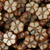 Table Cut Garland Flower Glass Czech Beads - Tan/Brown