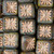 Starburst Square Czech Glass Beads - Olive Green & Gray w/ Copper Wash