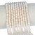 Rondelle Crystal Glass Pearls 4mm-Cream