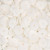 Litub Shell Heishi Beads 10mm-White
