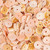 Pink Luanos Shell Heishi Beads 8mm