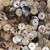Hammer Shell Heishi Beads 8mm- Earth Tones