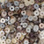 Hammer Shell Heishi Beads 5mm- Earth Tones