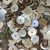 Green Shell Heishi Beads 8mm