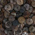 Brown Pen Shell Heishi Beads 10mm