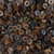 Brown Pen Shell Heishi Beads 5mm