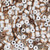 Conus Figulinus Shell Heishi Beads 3mm