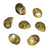 Mongo Shell Beads 6x4mm-Green