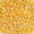 Mongo Shell Beads 6x4mm-Yellow