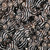 Nasa Shell Beads 12x9mm- Zebra