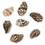 Nasa Shell Beads 12x7mm-Tiger