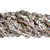 Nasa Shell Beads 12x7mm-Tiger