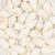 Nasa Shell Beads 11x7mm-White