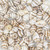 Nasa Shell Beads 10x7mm-Natural