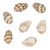 Nasa Shell Beads 10x7mm-Natural